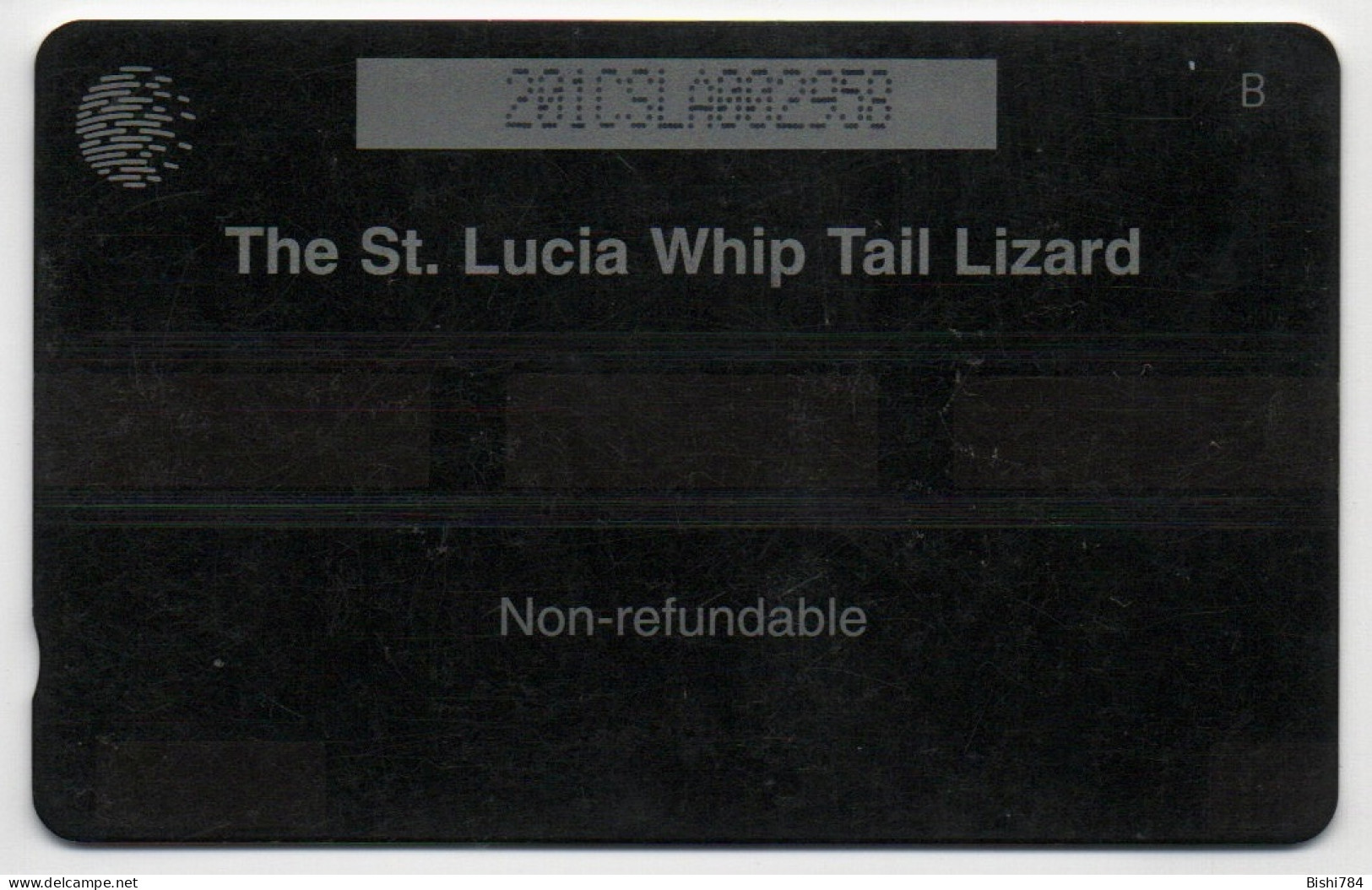 St. Lucia - WhipTail Lizard - 201CSLA - St. Lucia