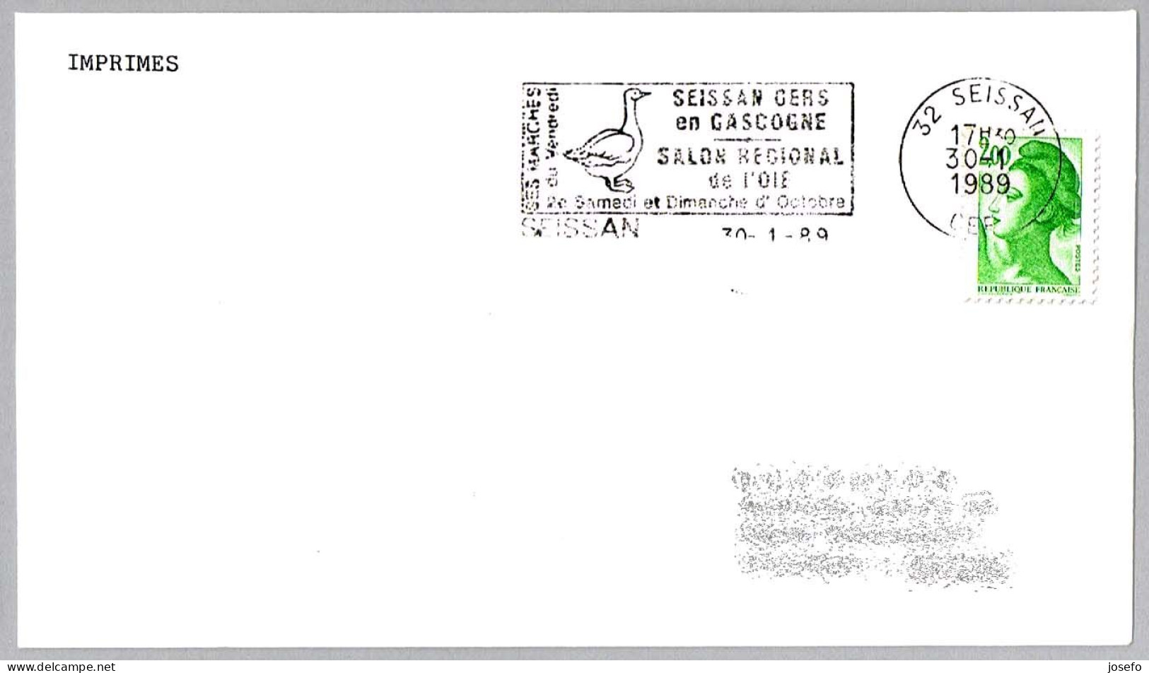 SALON REGIONAL DE LA OCA - Regional Hall Of The Goose - Salon Regional De L'Oie. Seissan 1989 - Oies