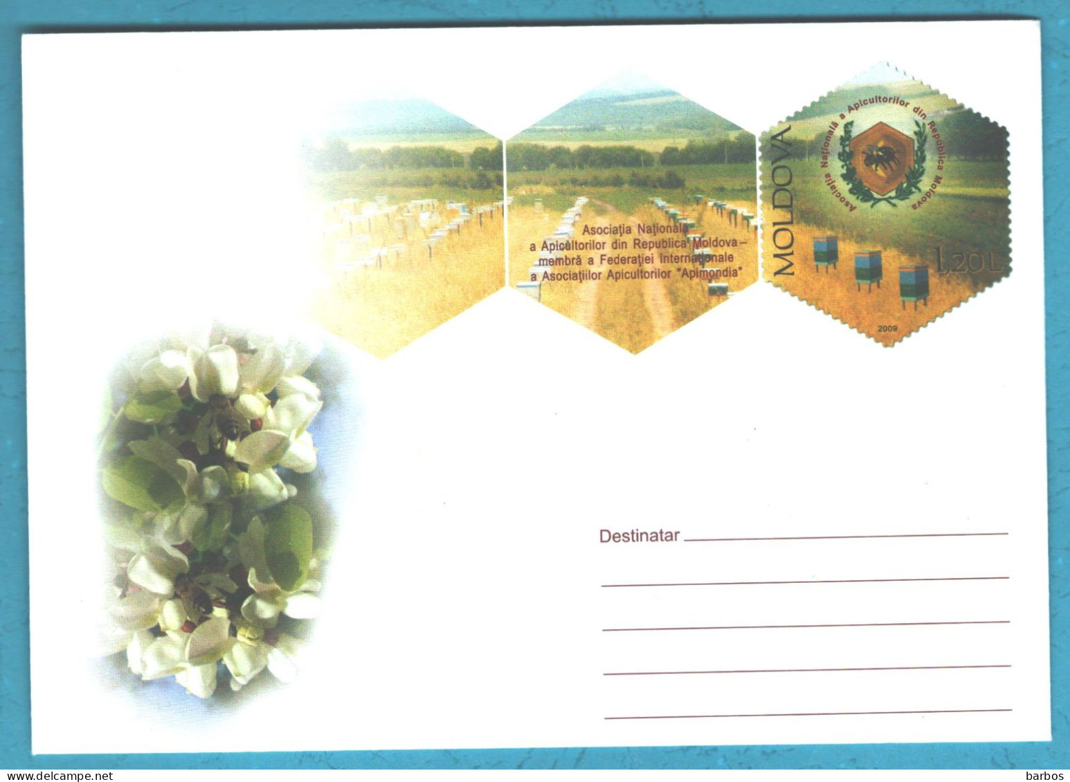 2009 Moldova The National Association Of Beekeepers From The Republic Of Moldova , Bees , Pre-paid Envelope - Abeilles