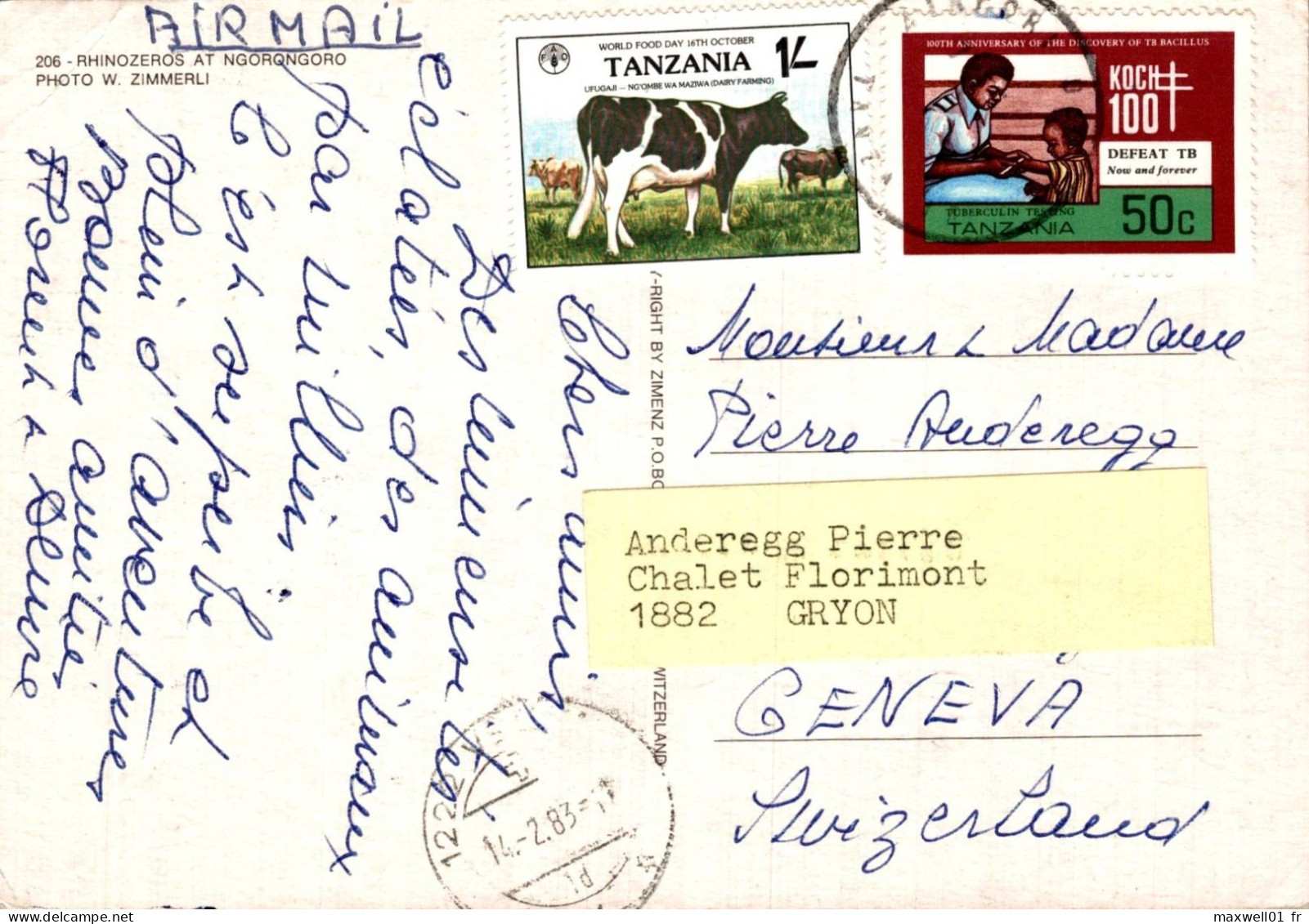 K9 - Carte Postale Animaux - Rhinocéros - Rhinozeros