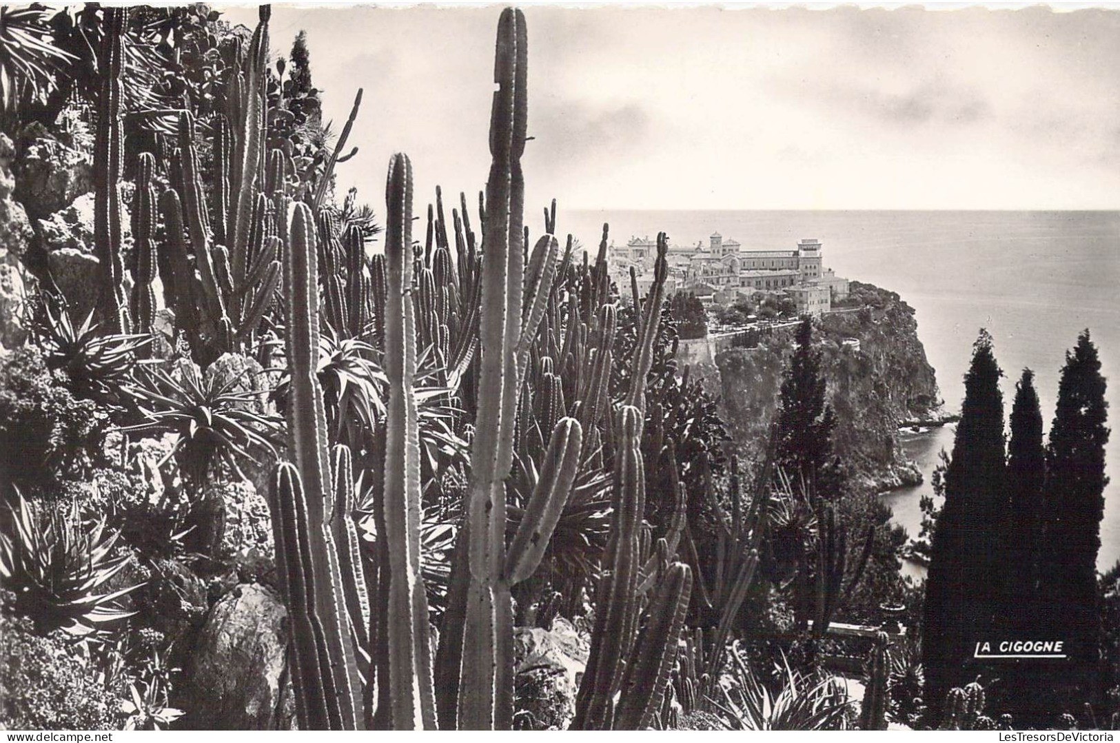 MONACO - Le Jardin Exotique - Vue Sur Le Rocher De Monaco - Carte Postale Ancienne - Jardín Exótico