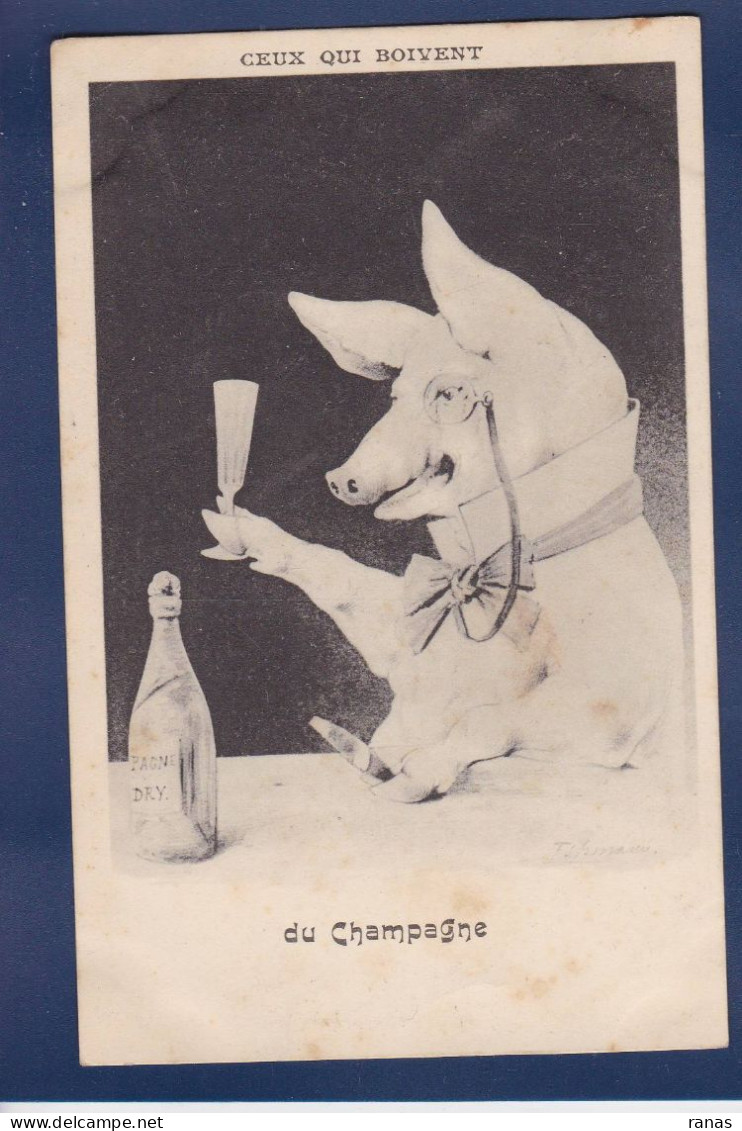 CPA Cochon Pig Position Humaine Non Circulé Champagne Espinasse - Cochons