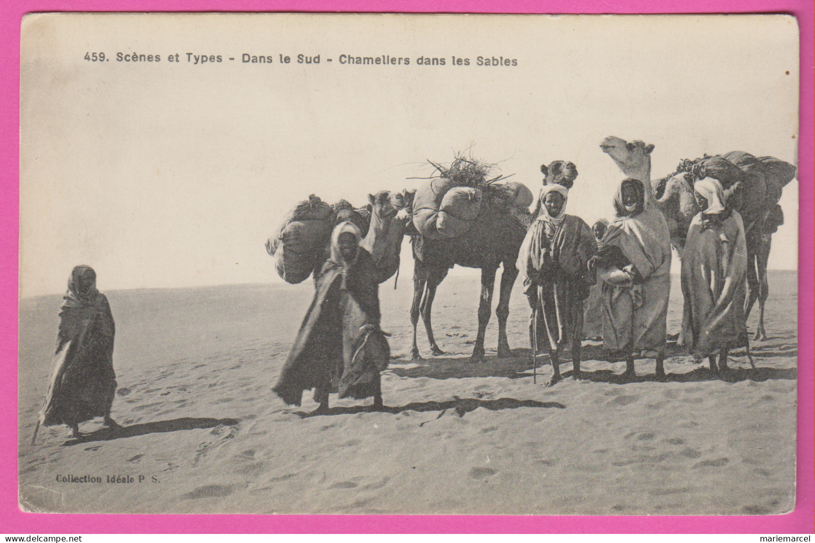 AFRIQUE - SCÈNES ET TYPES - DANS LE SUD - CHAMELIERS DANS LES SABLES - Non Classés