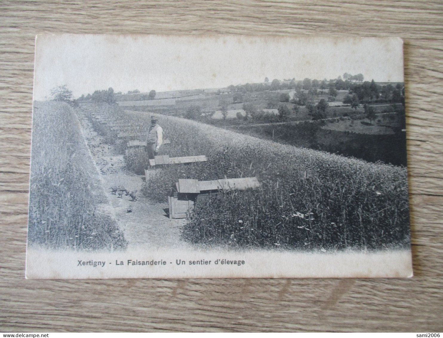 88 XERTIGNY LA FAISANDERIE UN SENTIER D'ELEVAGE - Xertigny