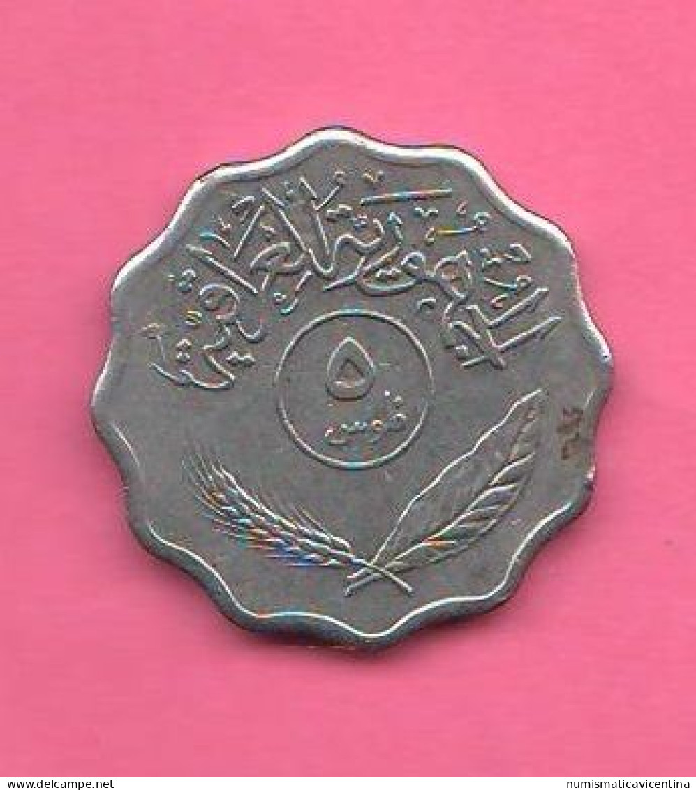 Iraq  5 Fils 1975 Nickel Coins - Iraq