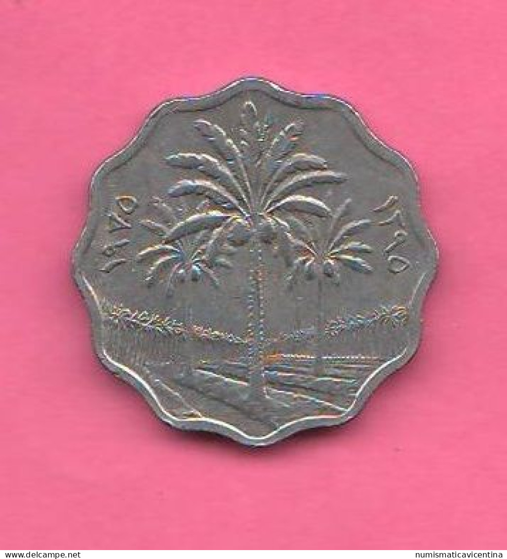 Iraq  5 Fils 1975 Nickel Coins - Iraq