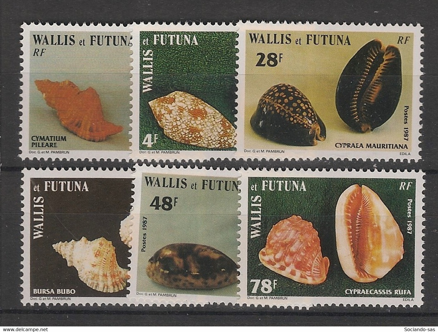 WALLIS ET FUTUNA - 1987 - N°Yv. 360 à 365 - Coquillages - Neuf Luxe ** / MNH / Postfrisch - Neufs