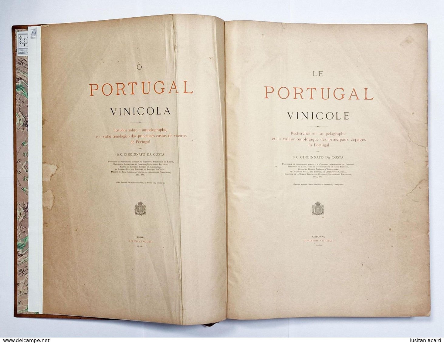 O Portugal Vinicola (RARO)( Autor: B. C. Cincinnato Da Costa - 1900) - Livres Anciens