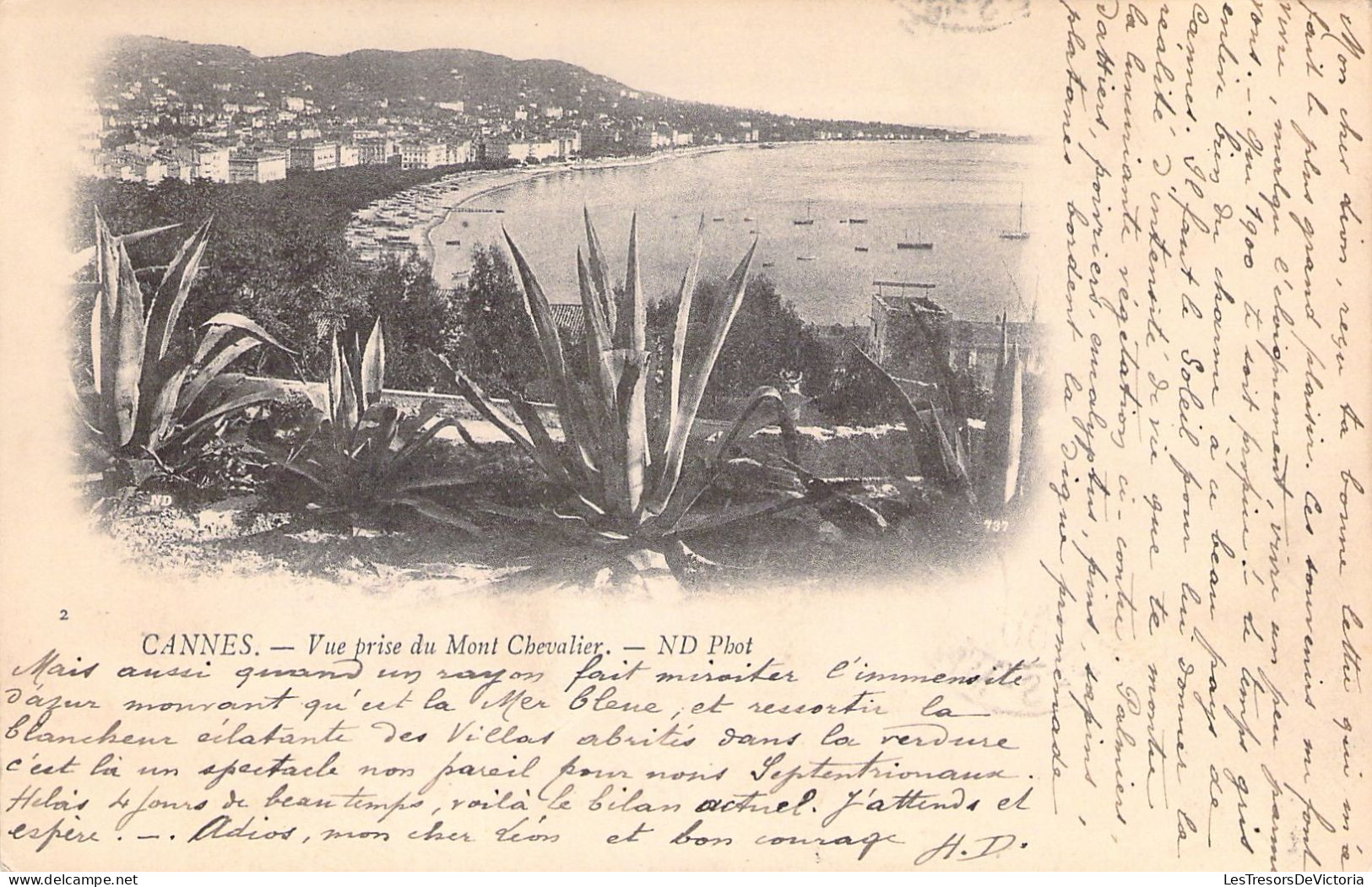 FRANCE - 06 - CANNES - Vue Prise Du Mont Chevalier - Carte Postale Ancienne - Cannes