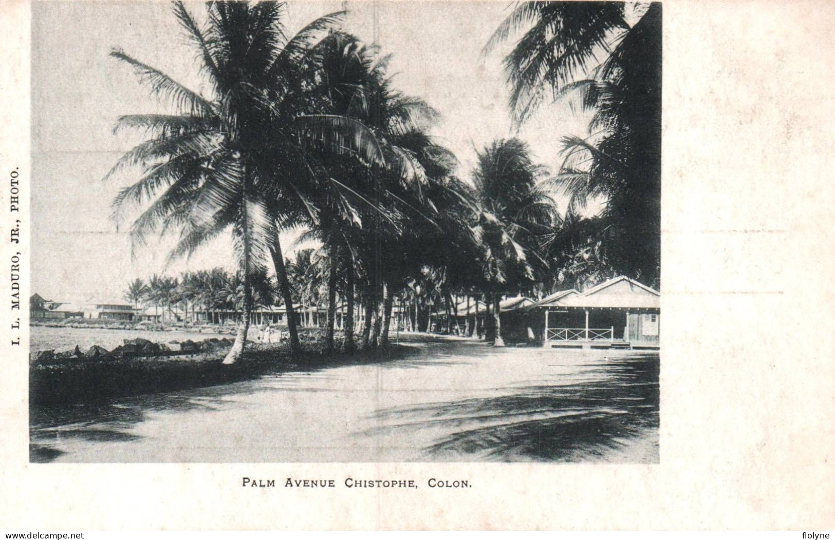 Colon - Palm Avenue Chistophe - Panama - Panama