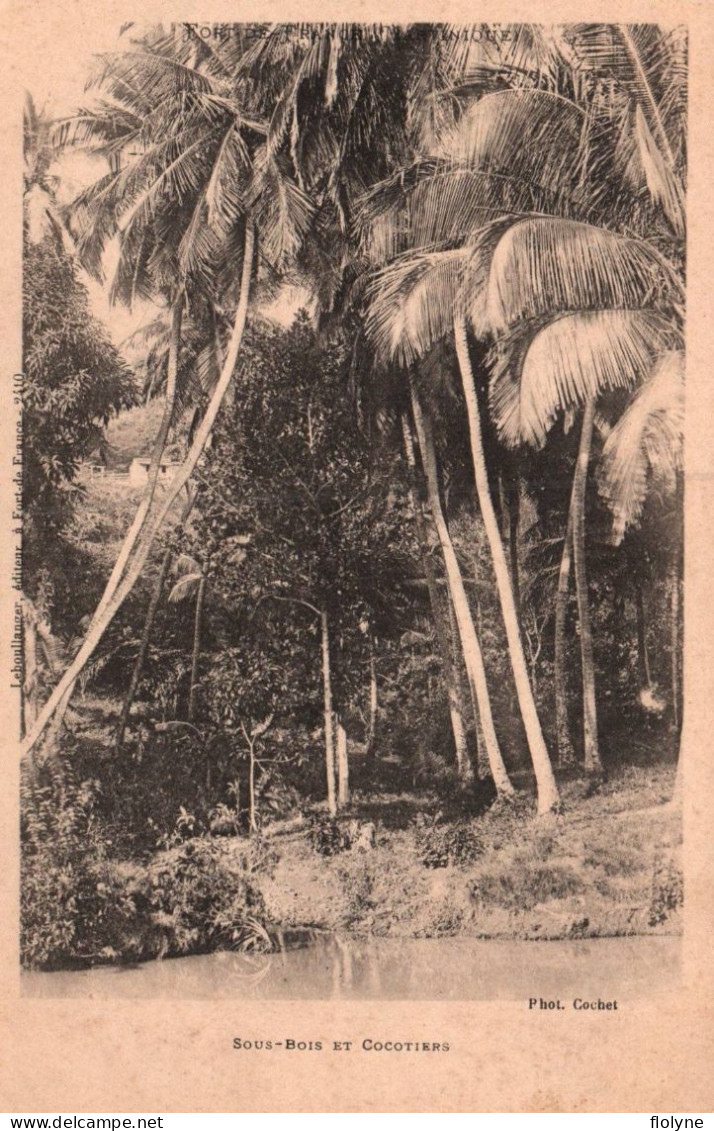 Martinique - Fort De France - Sous Bois Et Cocotiers - Fort De France