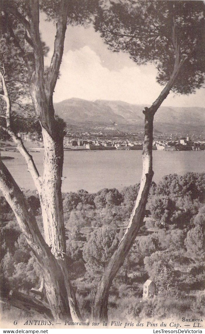 FRANCE - 06 - ANTIBES - Panorama Sur La Ville Pris Des Pins Du Cap - Carte Postale Ancienne - Andere & Zonder Classificatie