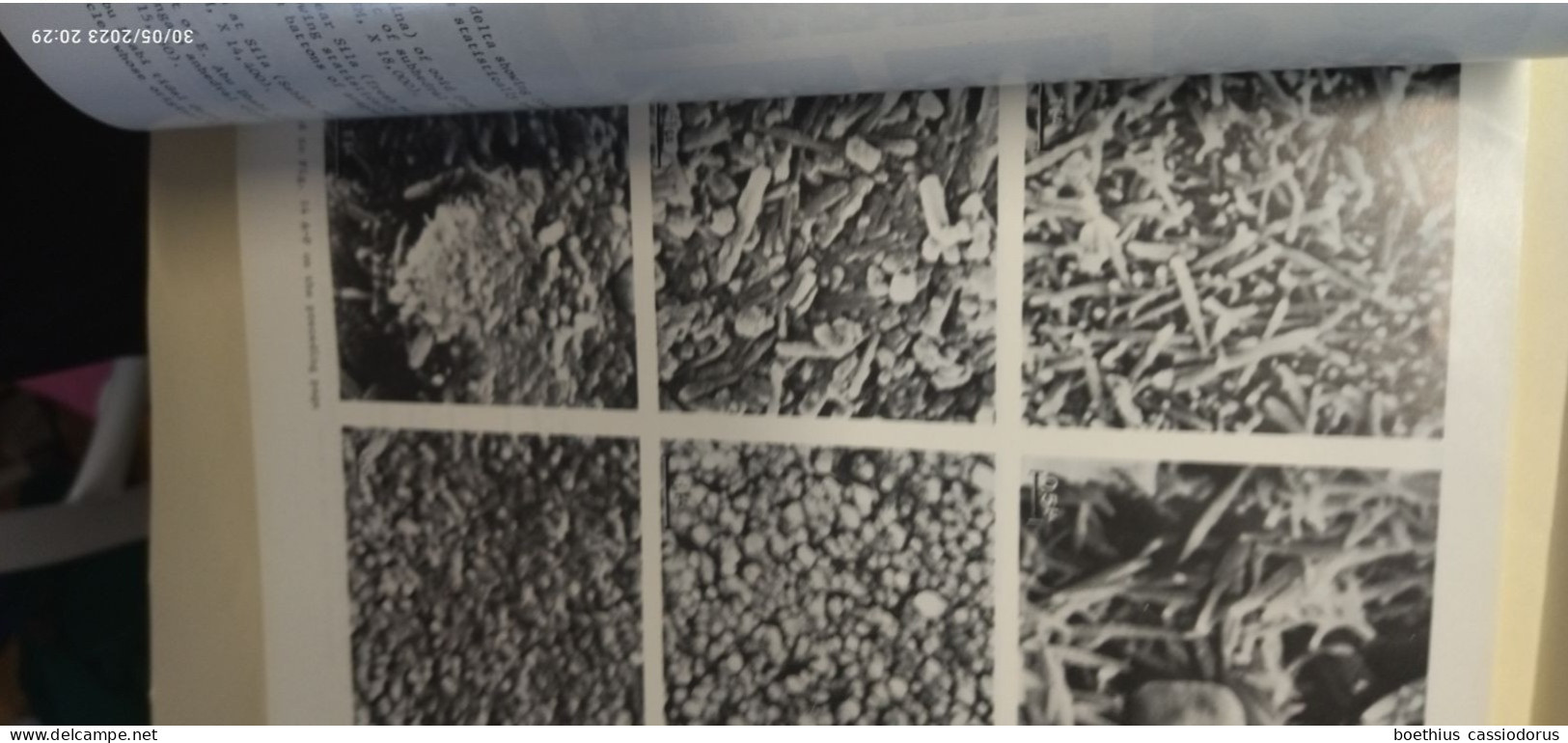 DISTRIBUTION AND ULTRASTRUCTURE OF HOLOCENE OOIDS IN THE PERSIAN GULF 1973 J.-P. LOREAU Et B. H. PURSER - Earth Science