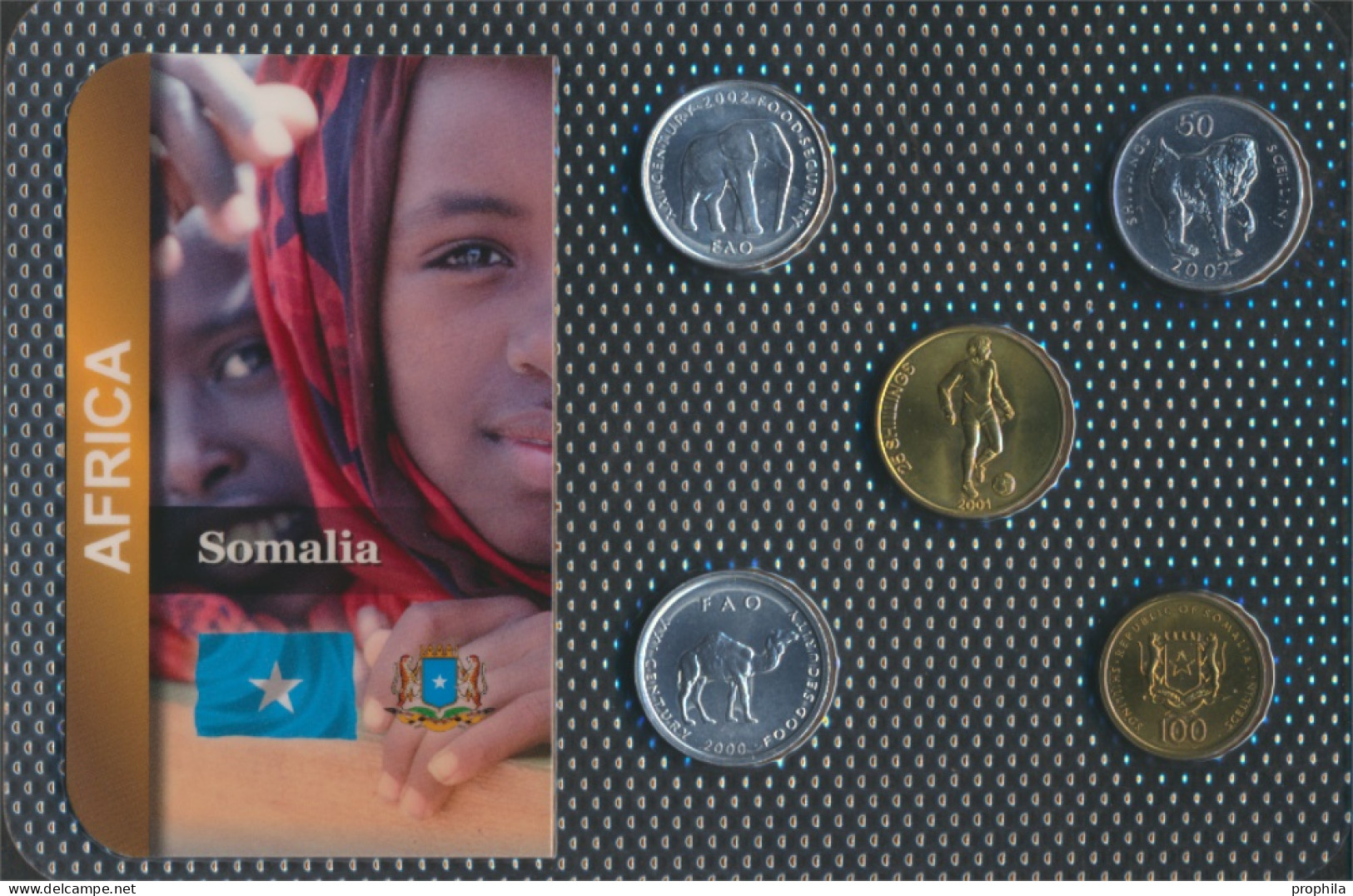 Somalia Stgl./unzirkuliert Kursmünzen Stgl./unzirkuliert Ab 1999 5 Shillings Bis 100 Shillings (10091988 - Somalia