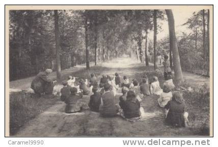 Diesterweg's Schoolkolonie Te Heide         Openluchtles Tekenen       Scan 4196 - Kalmthout