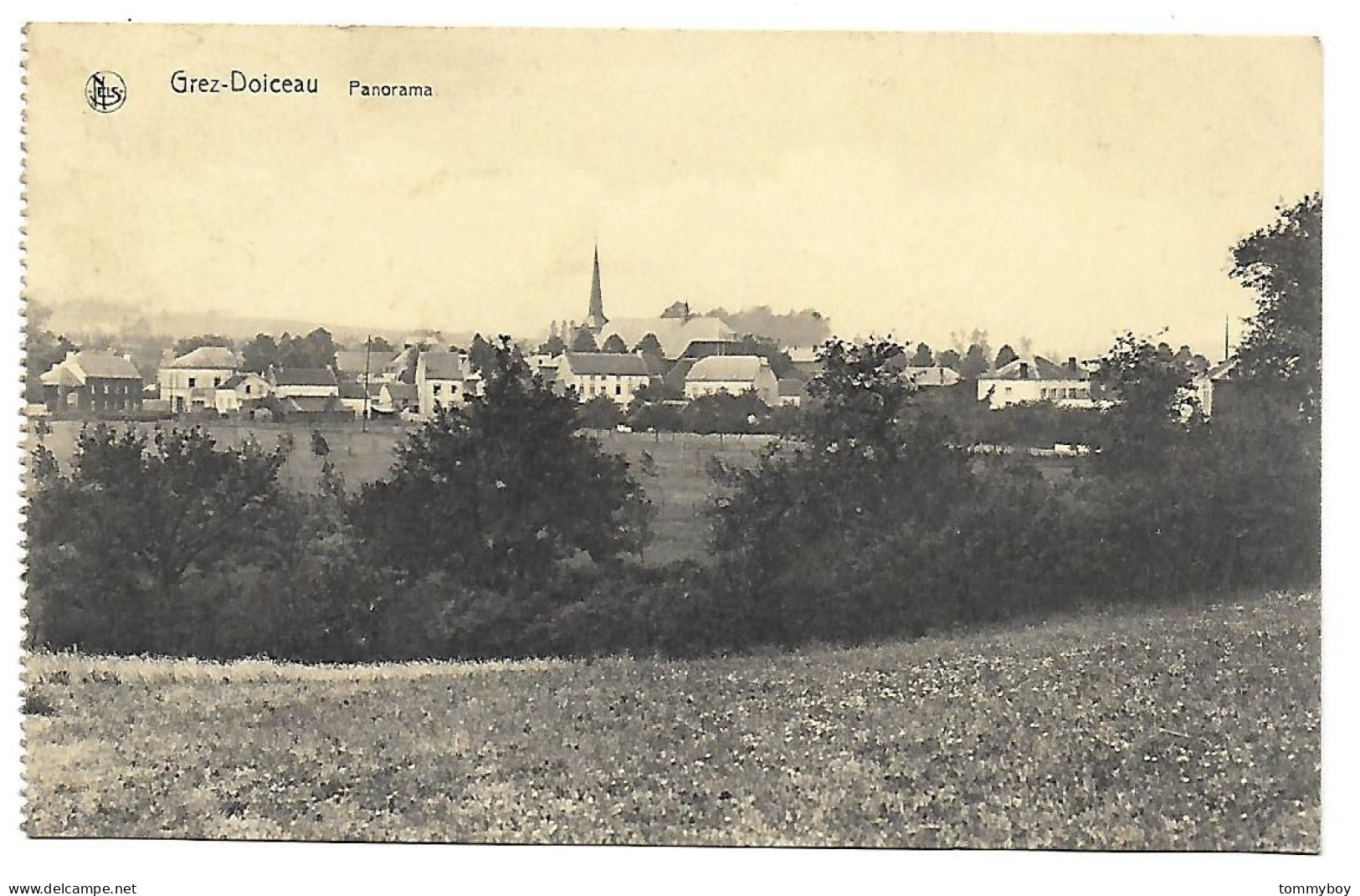 CPA Grez-Doiceau, Panorama - Graven