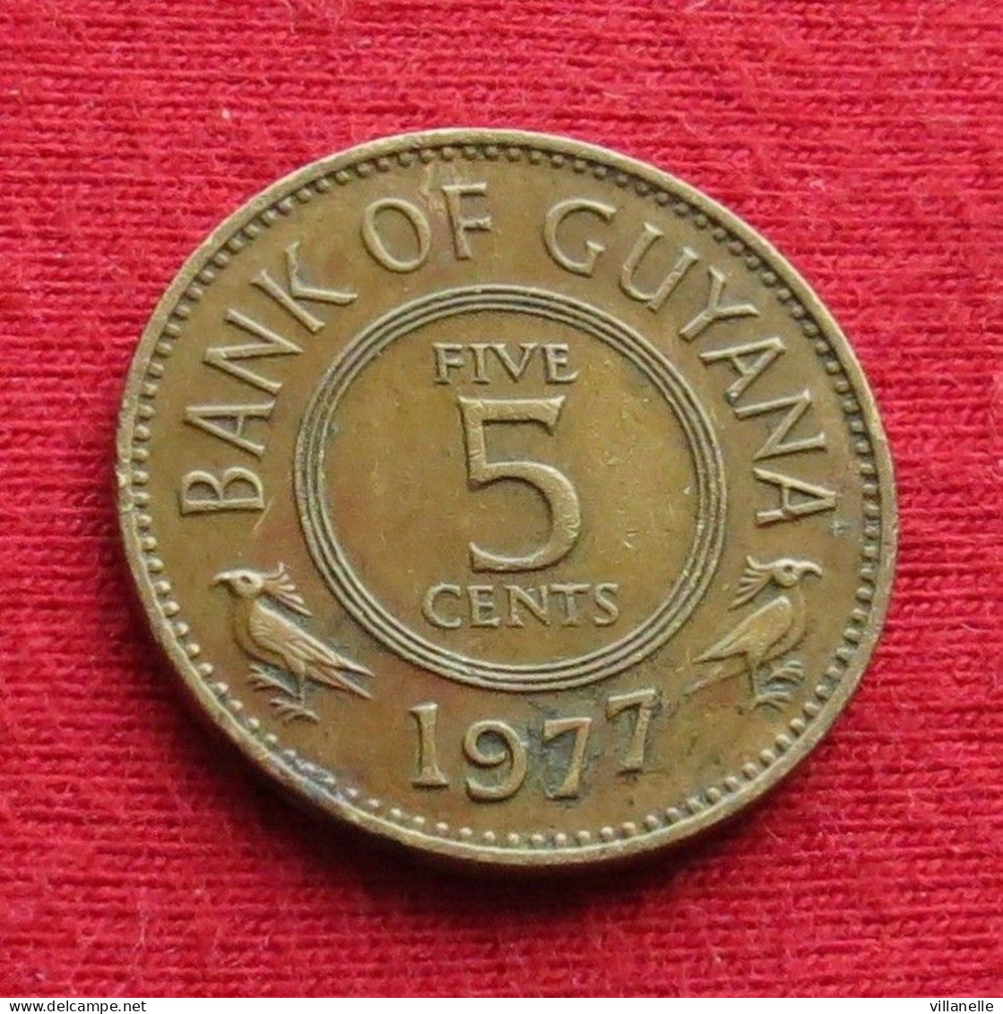 Guyana 5 Cents 1977 KM# 32 Lt 533 *VT Guiana - Guyana