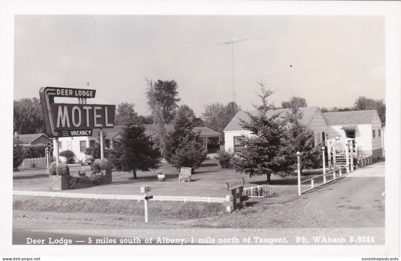 New York Albany Deer Lodge Motel Real Photo - Albany