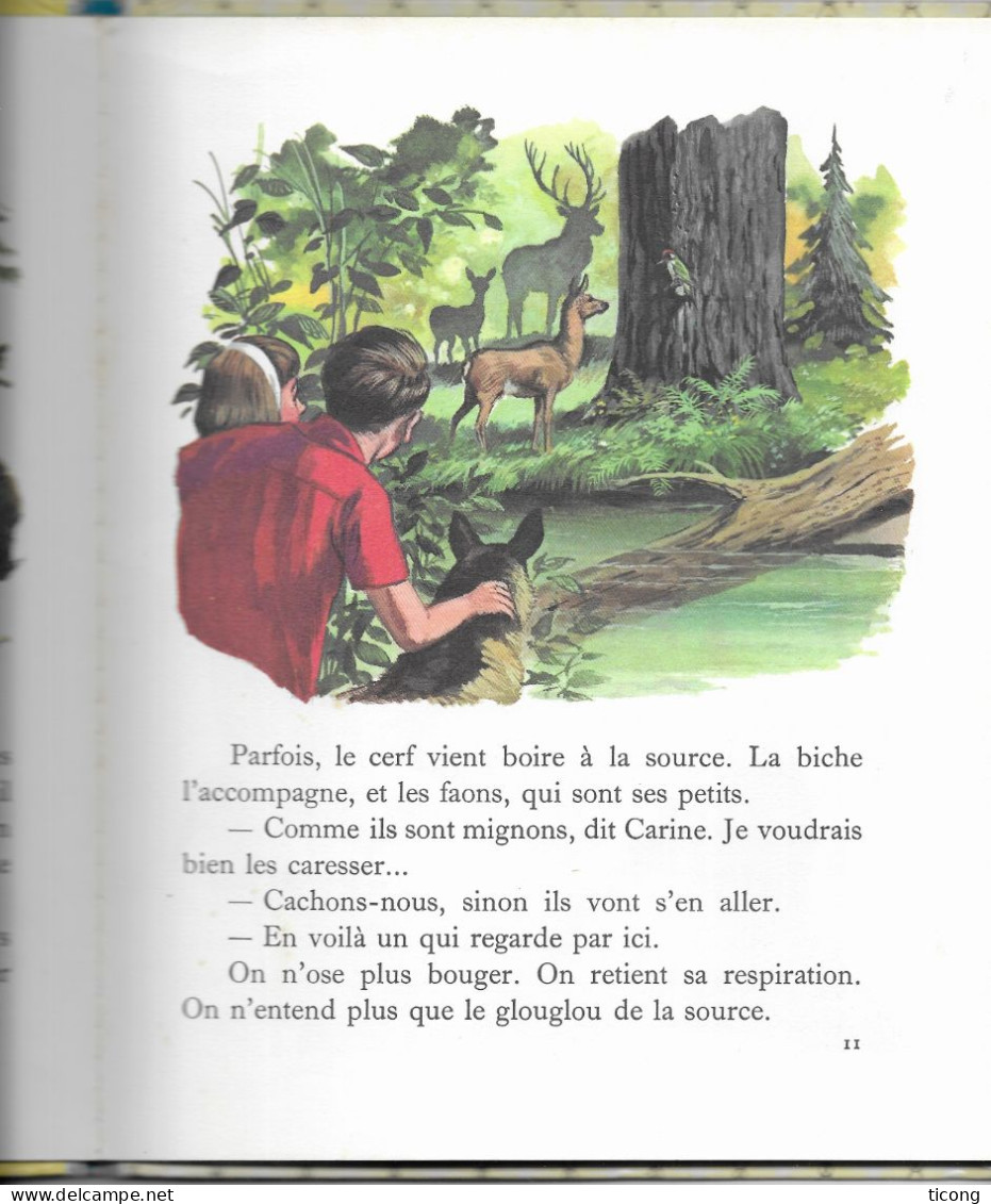 LES SECRETS DE LA FORET PAR GILBERT  DELAHAYE, ILLUSTRATIONS DE LILIANE ET FRED FUNCKEN - 1ERE EDITION FARANDOLE 1965 - Casterman