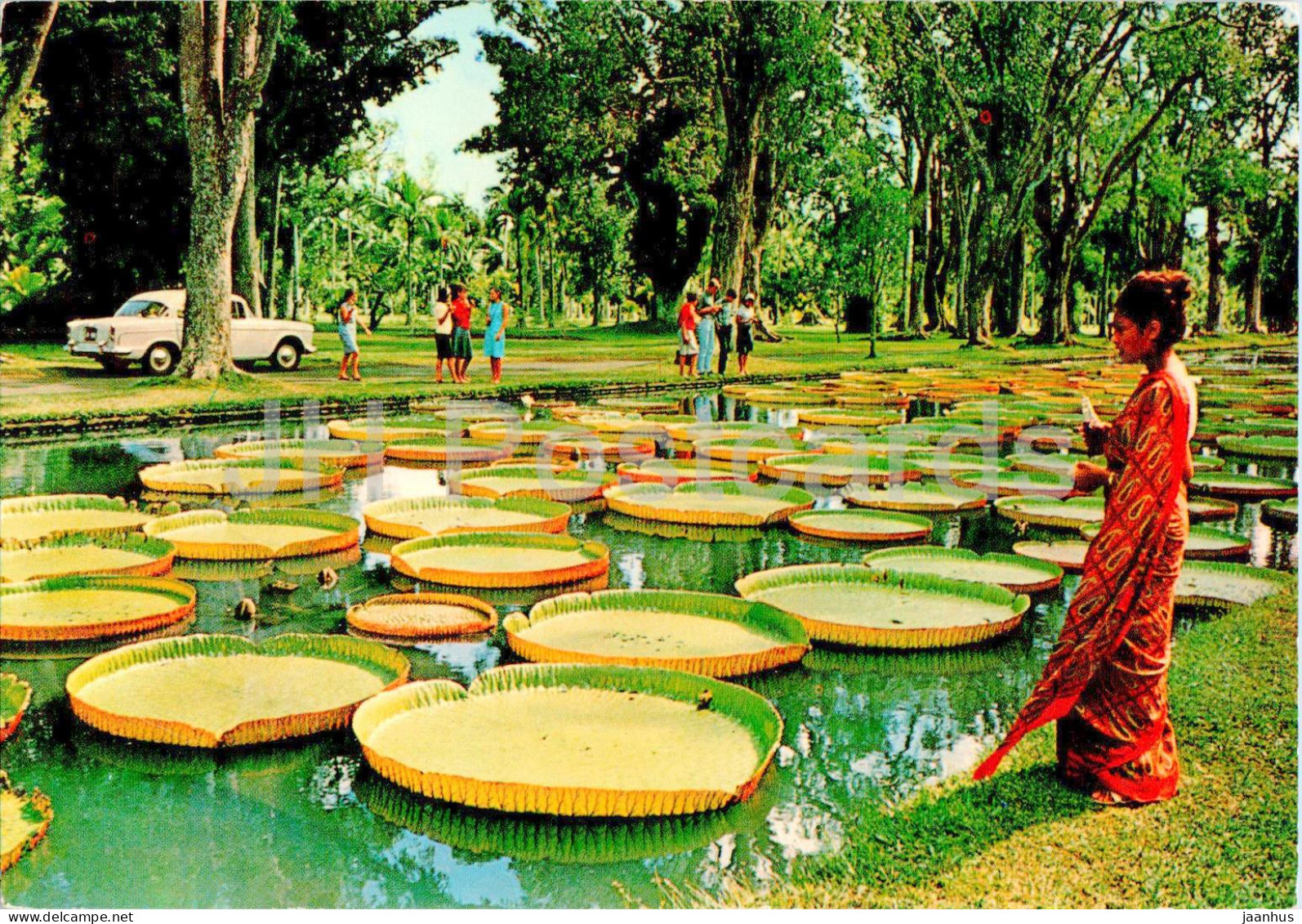 Pamplemousses Gardens - Jardin De Pamplemousses - 31 - 1979 - Mauritius - Used - Maurice