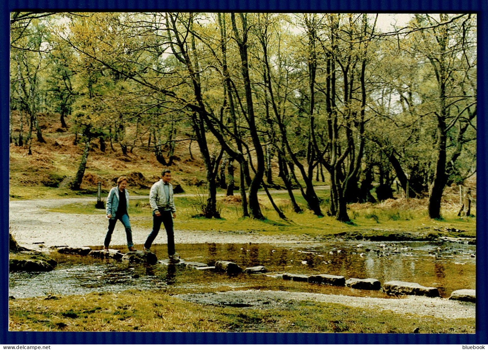 Ref 1618 -  Postcard - The Stepping Stones - Sherbrook Valley Cannock Chase Staffordshire - Autres & Non Classés