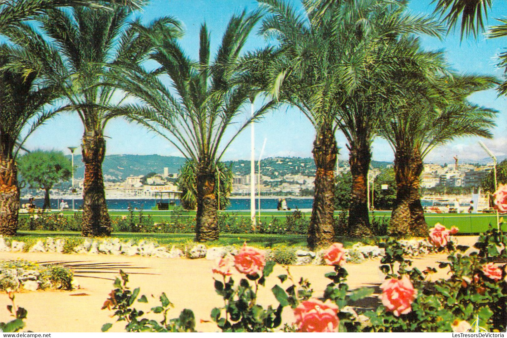 FRANCE - 06 - CANNES - Dans Les Jardins Du Port Canto - Carte Postale Ancienne - Cannes