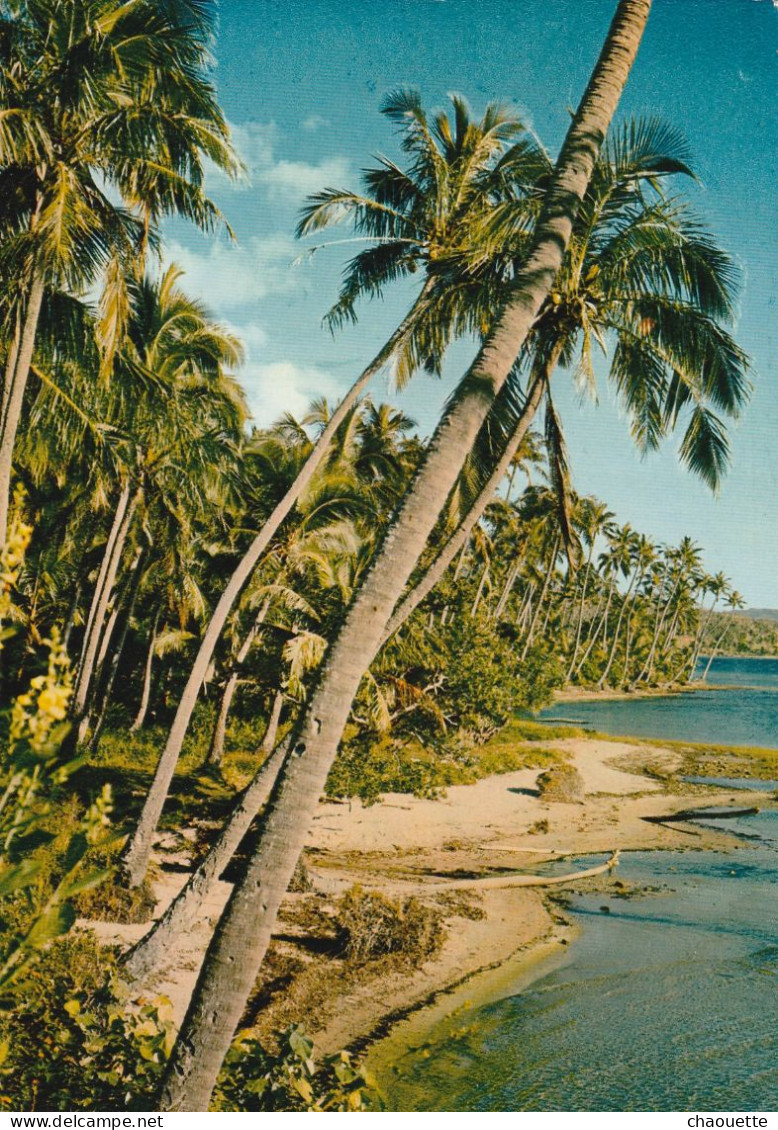 NOUMEA   La Cote Est...edit  Noel  Cale  C.64 - Nouvelle Calédonie