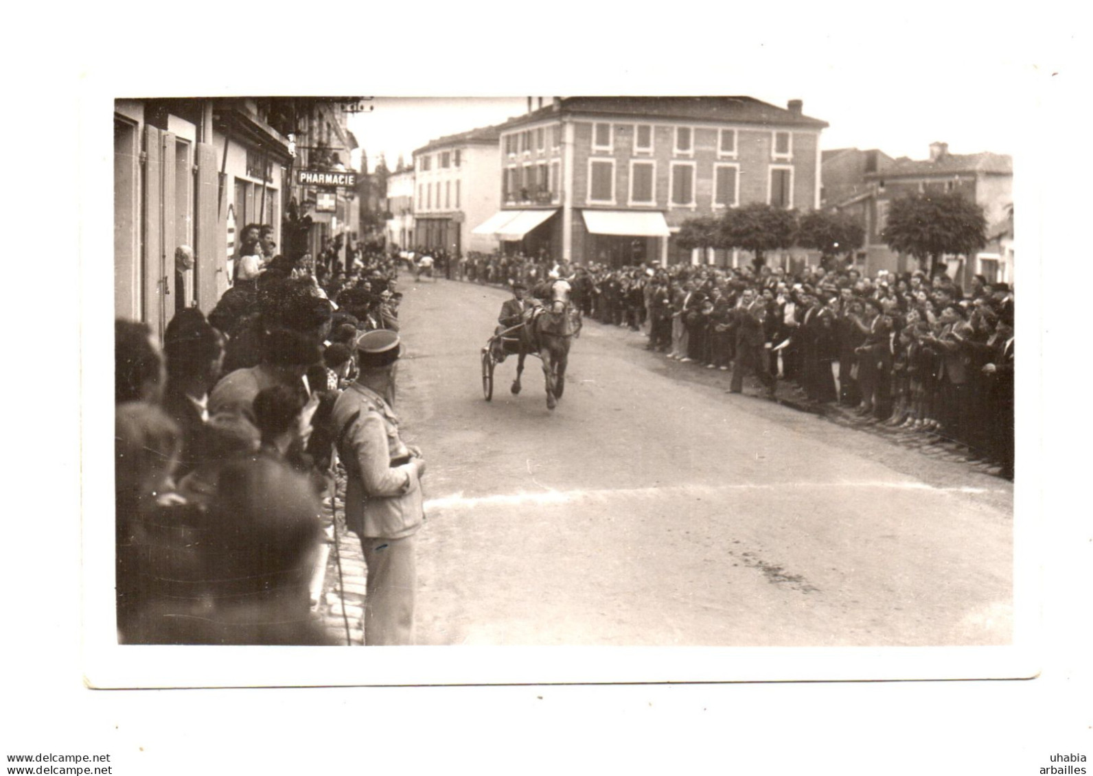 Hagetmau. Rue Carnot. Course De Trot Attelé. Rue Carnot. Carte Photo Années 50-60. - Hagetmau