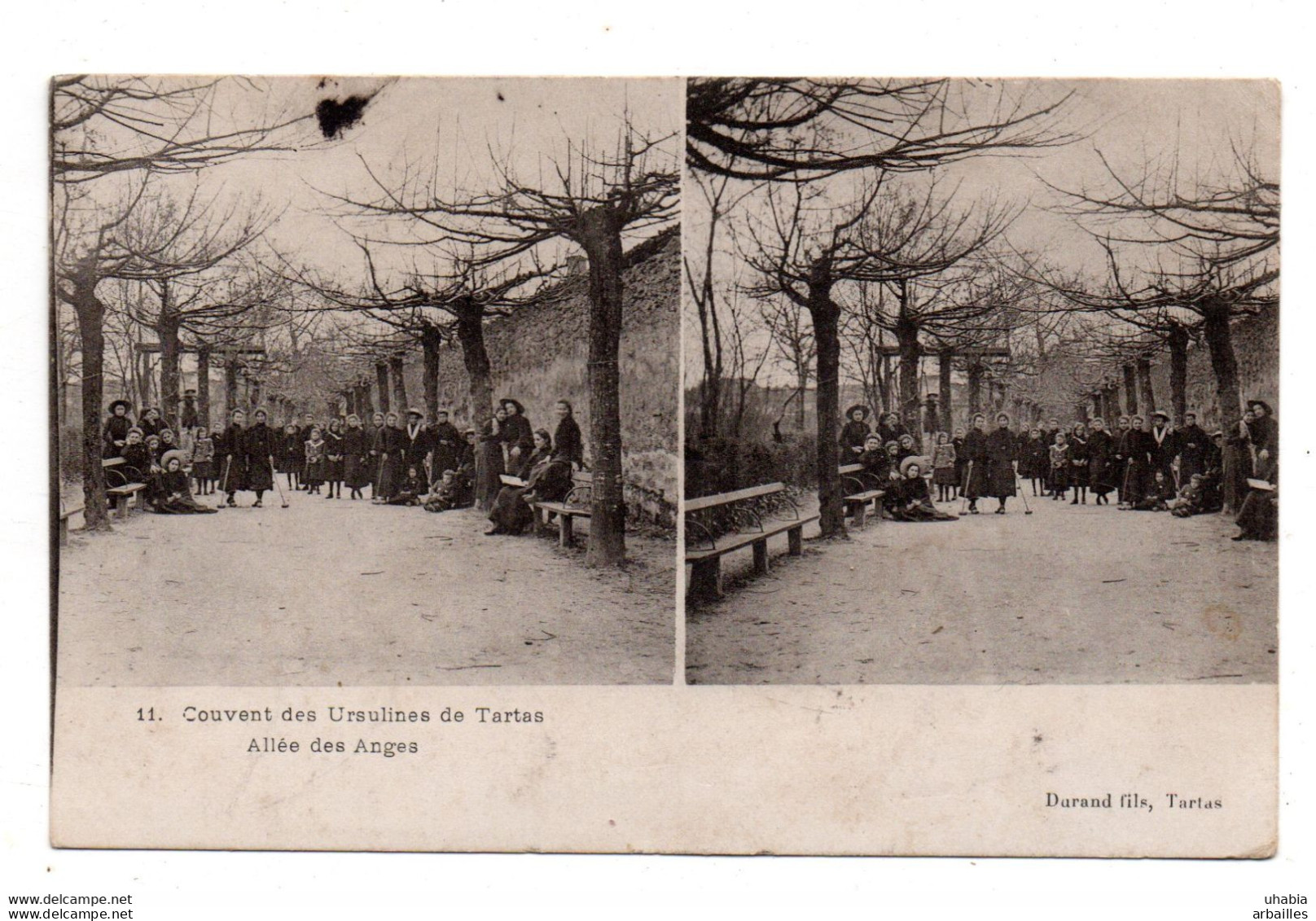 Tartas. Couvent Des Ursulines. Allée Des Anges. - Tartas