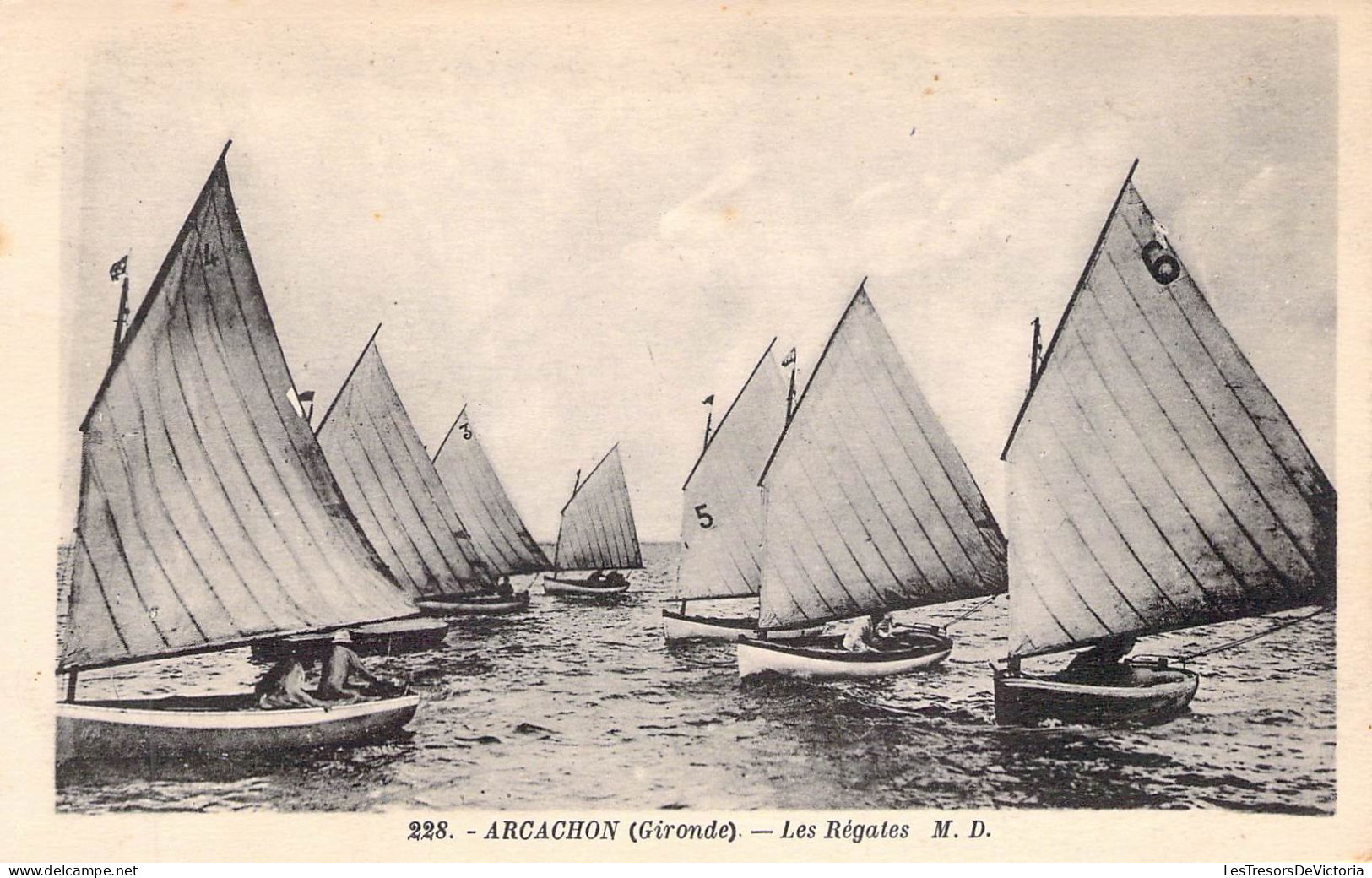FRANCE - 33 - ARCACHON - Les Régates - M D - Carte Postale Ancienne - Arcachon
