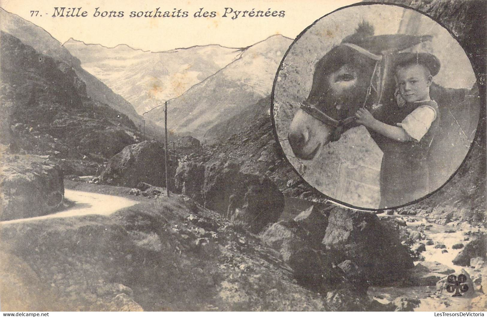 FRANCE - Régions - Mille Bons Souhaits Des Pyrénées - Carte Postale Ancienne - Andere & Zonder Classificatie