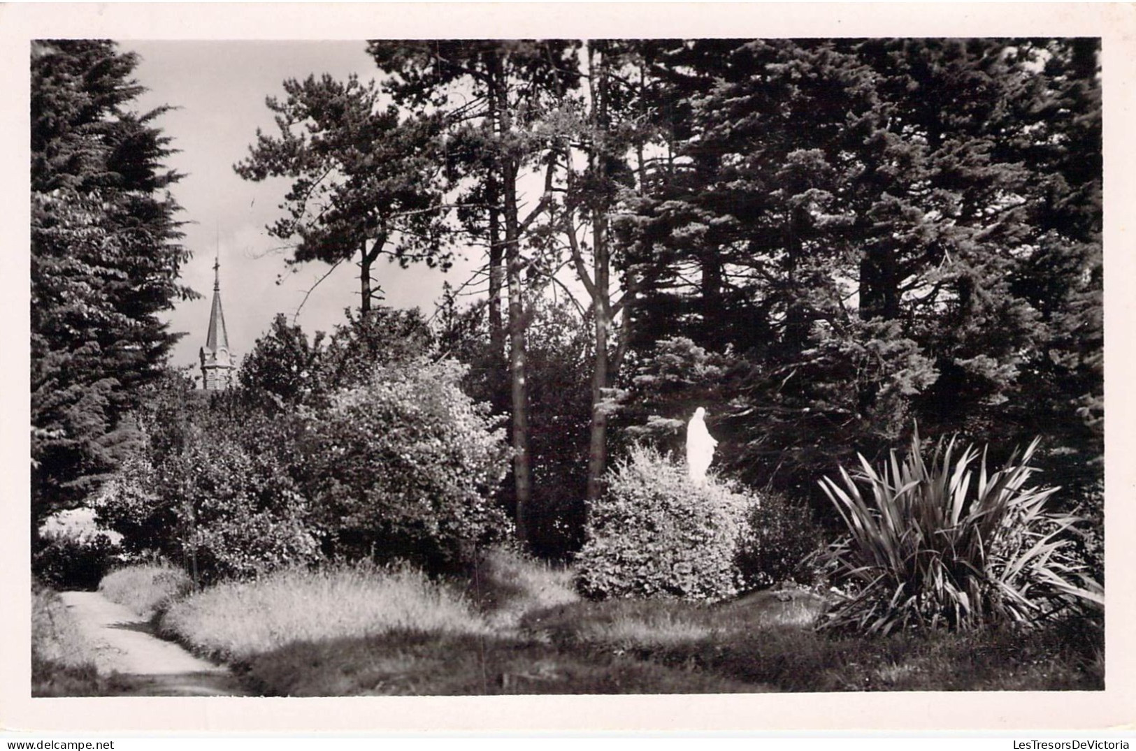 FRANCE - 50 - SAINT PIERRE EGLISE - Le Parc - Edit Normandes - Carte Postale Ancienne - Saint Pierre Eglise