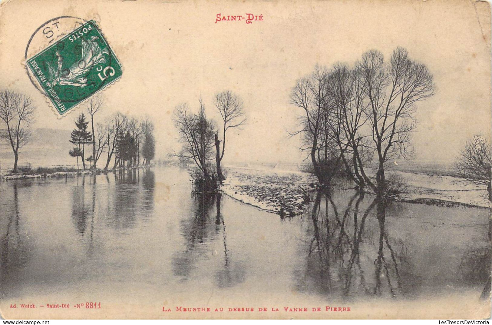 FRANCE - 88 - Saint Dié - La Meurthe Au Dessus De La Vanne De Pierre - Carte Postale Ancienne - Saint Die