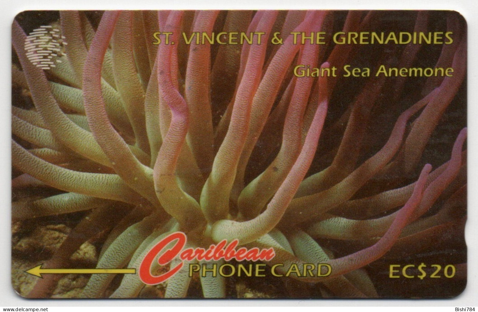 St. Vincent & The Grenadines - Giant Sea Anemone - 142CSVC - Saint-Vincent-et-les-Grenadines