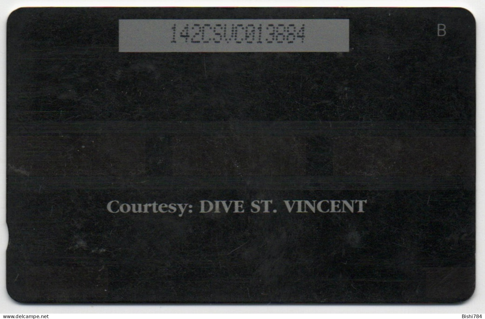 St. Vincent & The Grenadines - Giant Sea Anemone - 142CSVC - San Vicente Y Las Granadinas