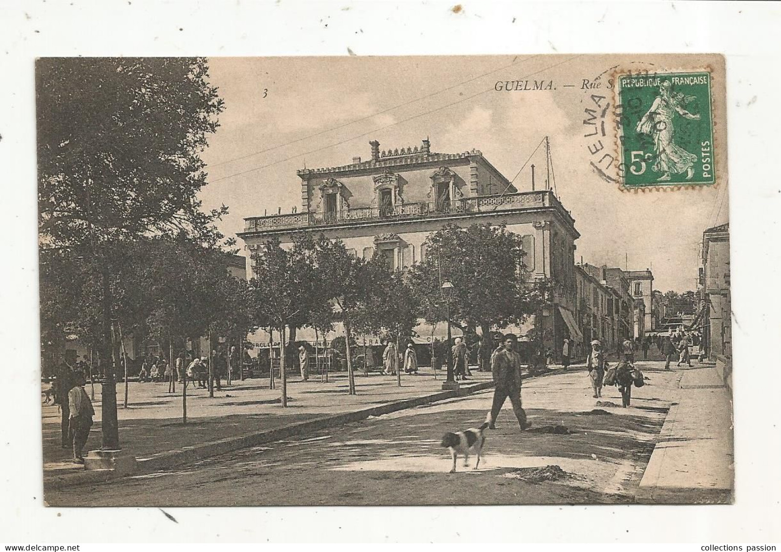 Cp, ALGERIE, GUELMA, Rue SAINT LOUIS, Chien, Voyagée 1907 - Guelma