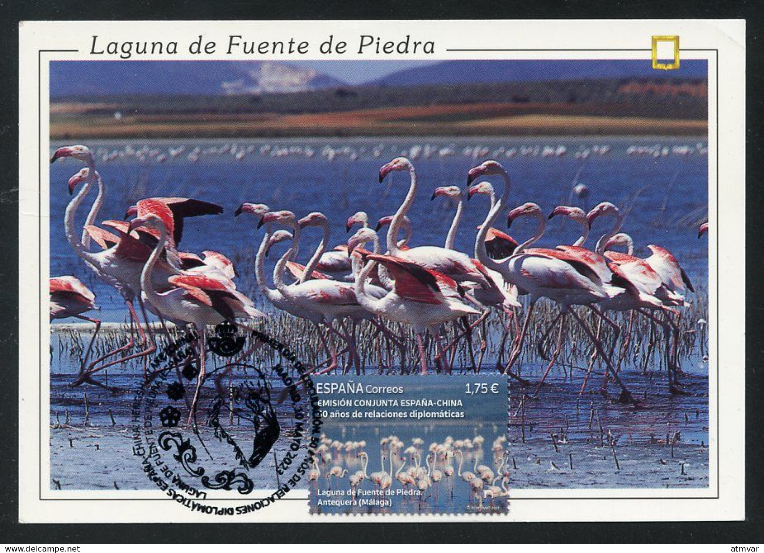 ESPAÑA (2023) Carte Maximum Card - Emisión Conjunta Joint Issue China Flamingo Flamenco Flamant Laguna Fuente De Piedra - Tarjetas Máxima