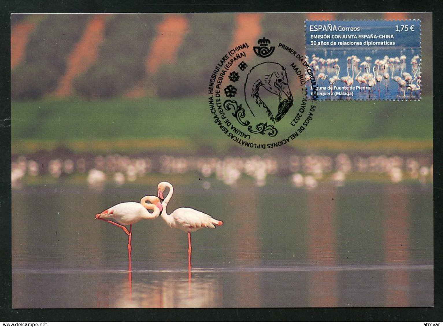 ESPAÑA (2023) Carte Maximum Card - Emisión Conjunta Joint Issue China Flamingo Flamenco Flamant Laguna Fuente De Piedra - Tarjetas Máxima