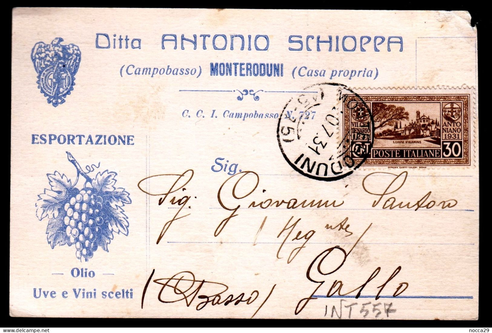 MONTERODUNI - ISERNIA - 1931 CARTOLINA COMMERCIALE ILLUSTRATA - VINI UVE OLIO - MANCANZA ANGOLO ALTO A DESTRA (INT557) - Marchands