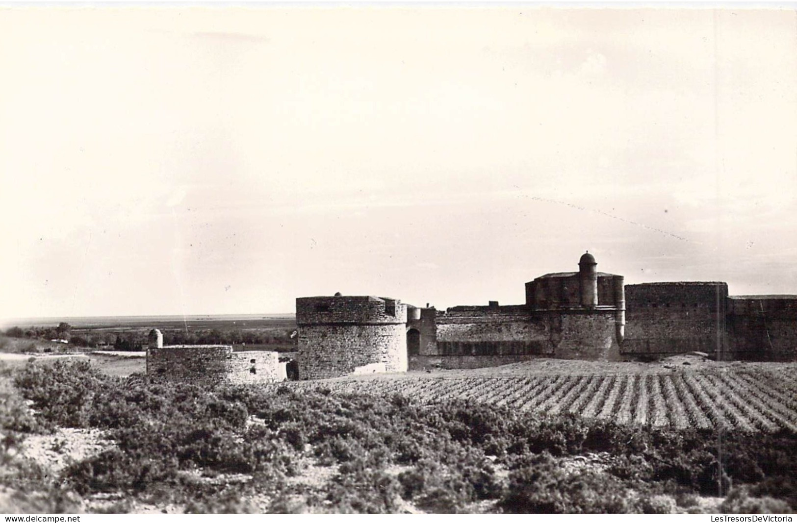 FRANCE - 66 - SALSES - Le Fort - Carte Postale Ancienne - Salses