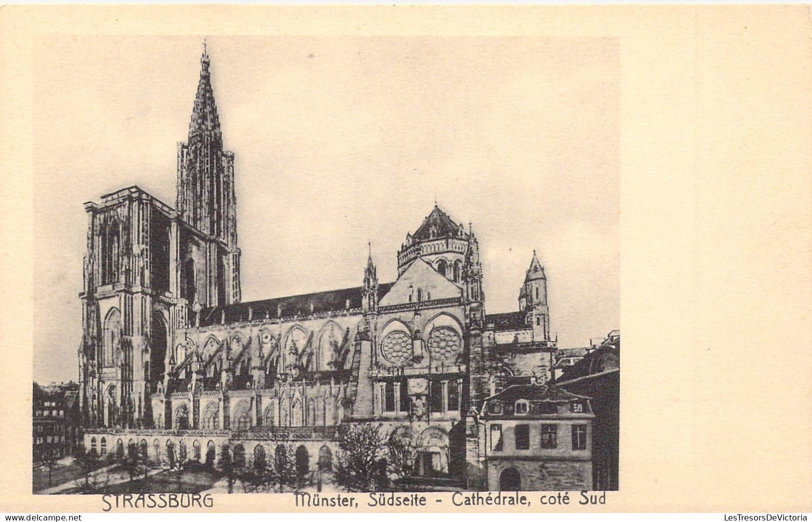 FRANCE - 67 - STRASBOURG - Cathédrale Coté Sud - Carte Postale Ancienne - Strasbourg