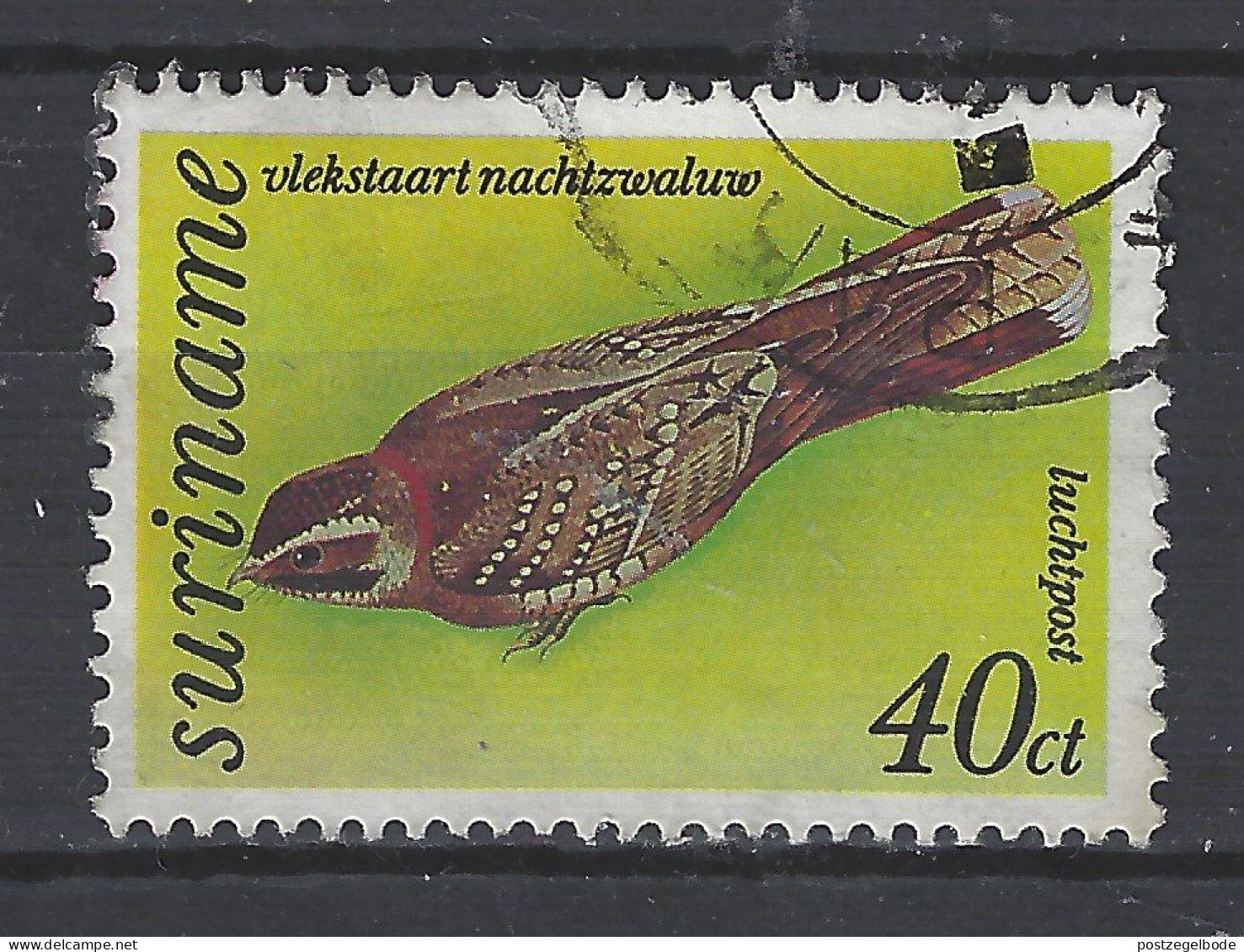 Suriname Used Nachtzwaluw Zwaluw Swallow Hirondelle Golondrina Vogel Bird Ave Oiseau - Schwalben