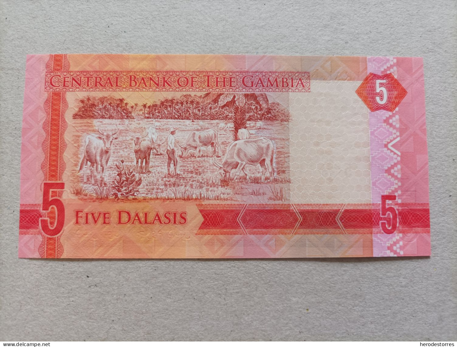 Billete De Gambia De 5 Dalasis Serie A, Año 2015, UNC - Gambia