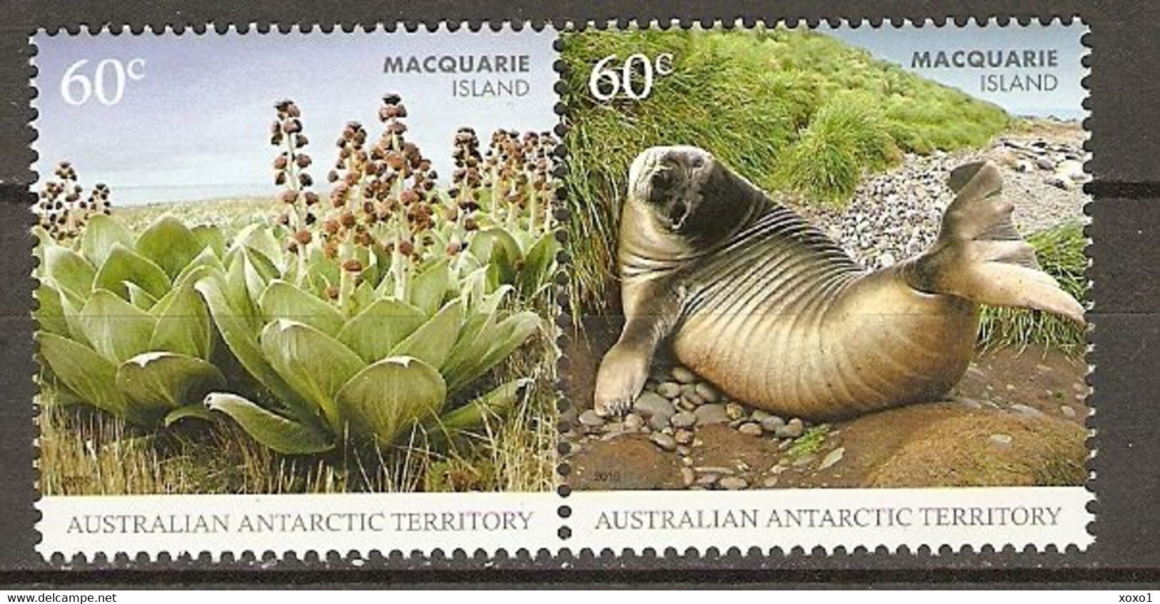 Australian Antarctic Territory AAT 2010 MiNr. 183 - 4 Endemic Plants Subantarctic Fur Seal  2v  MNH** 2.40 € - Other & Unclassified