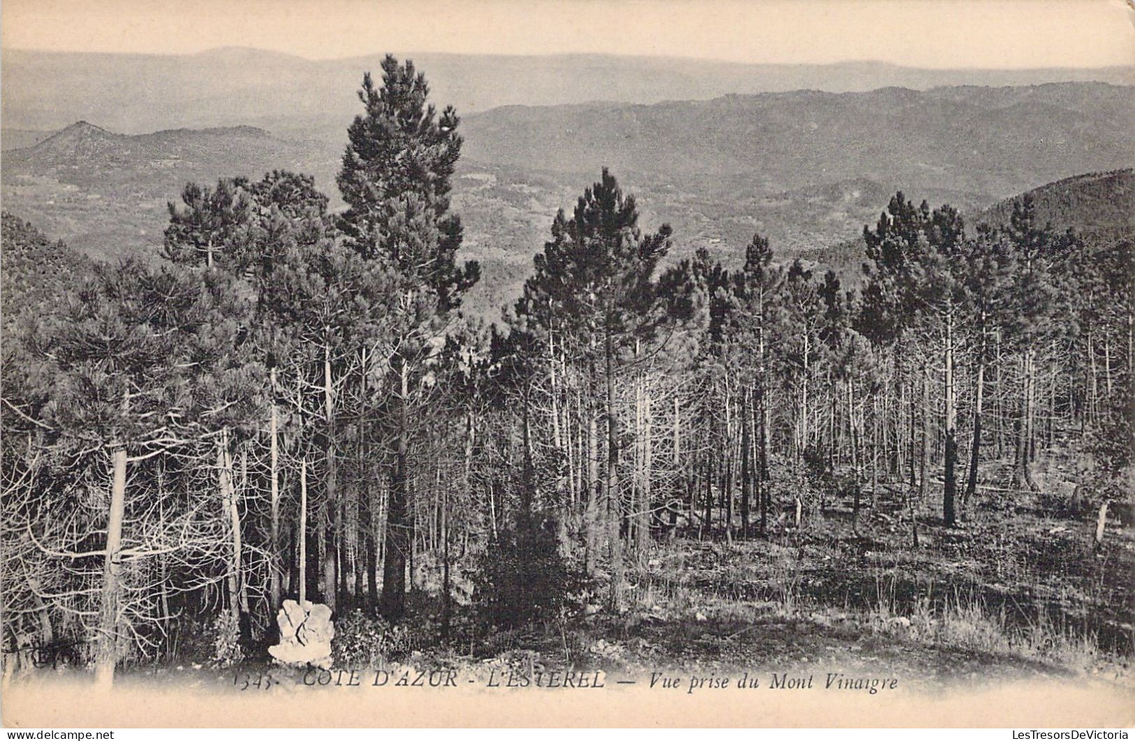 FRANCE - 83 - L'ESTEREL - Vue Prise Du Mont Vinaigre - Carte Postale Ancienne - Other & Unclassified