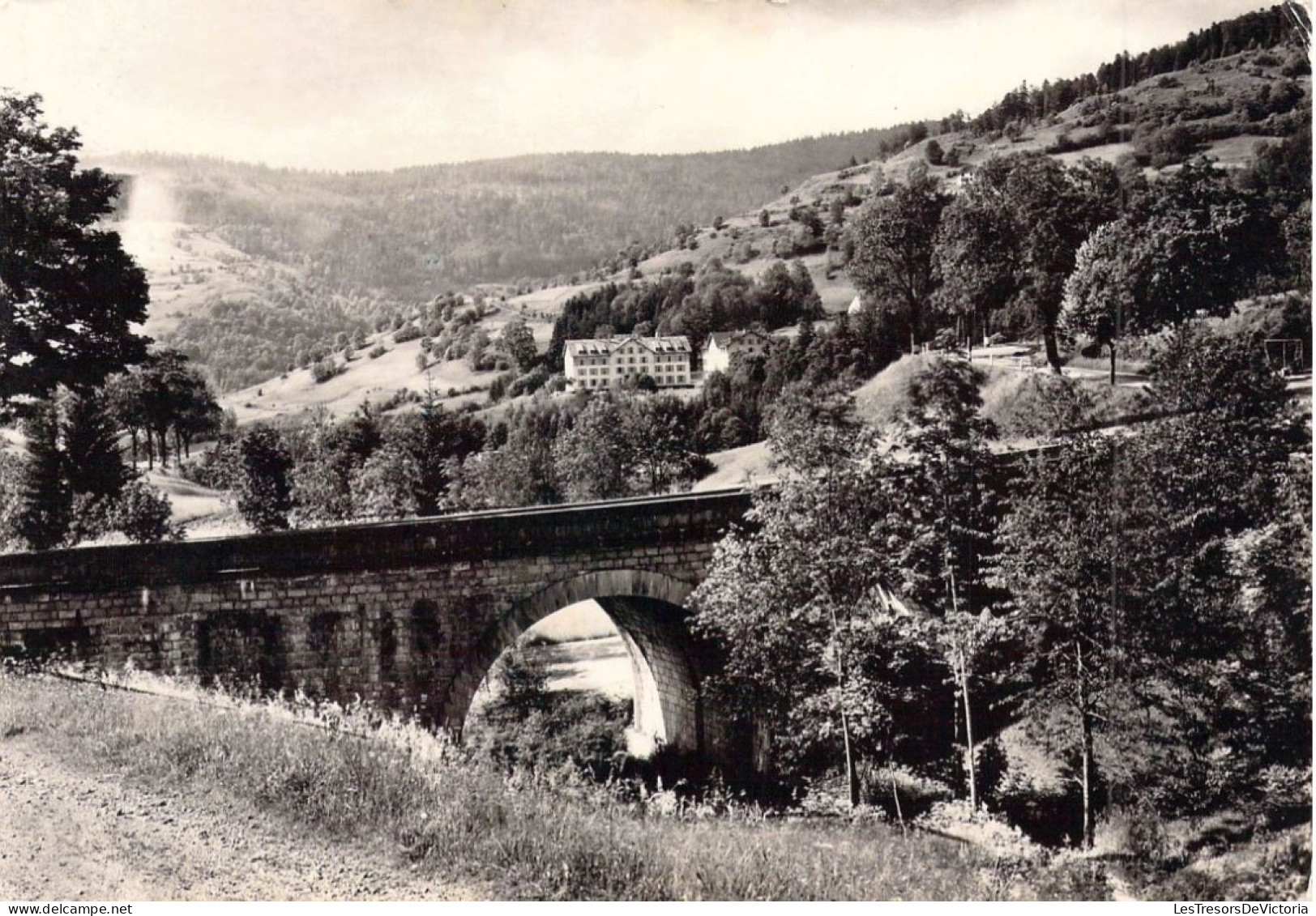 FRANCE - 88 - BUSSANG - Pont Du Séchenat - Editions S L - Carte Postale Ancienne - Bussang