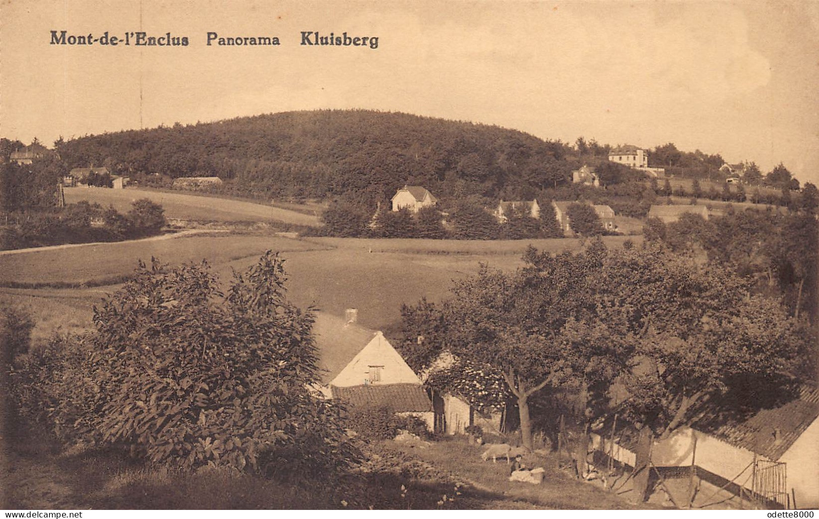 Kluisberg Photo Albert, Orroir Mont De L'Enclus  Panorama      D 4198 - Kluisbergen
