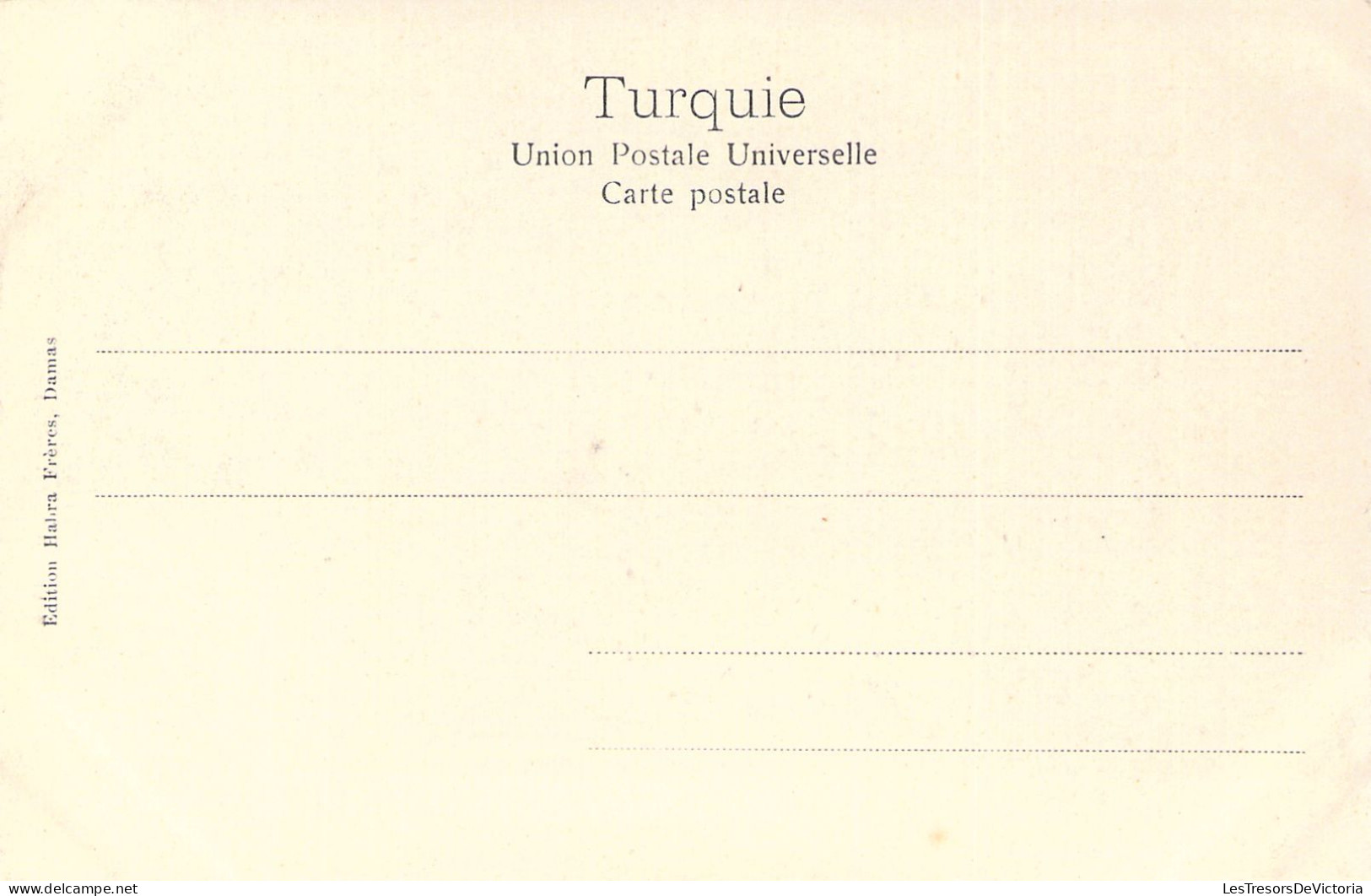 TURQUIE - Cèdres Du LIBAN - Carte Postale Ancienne - Turquie