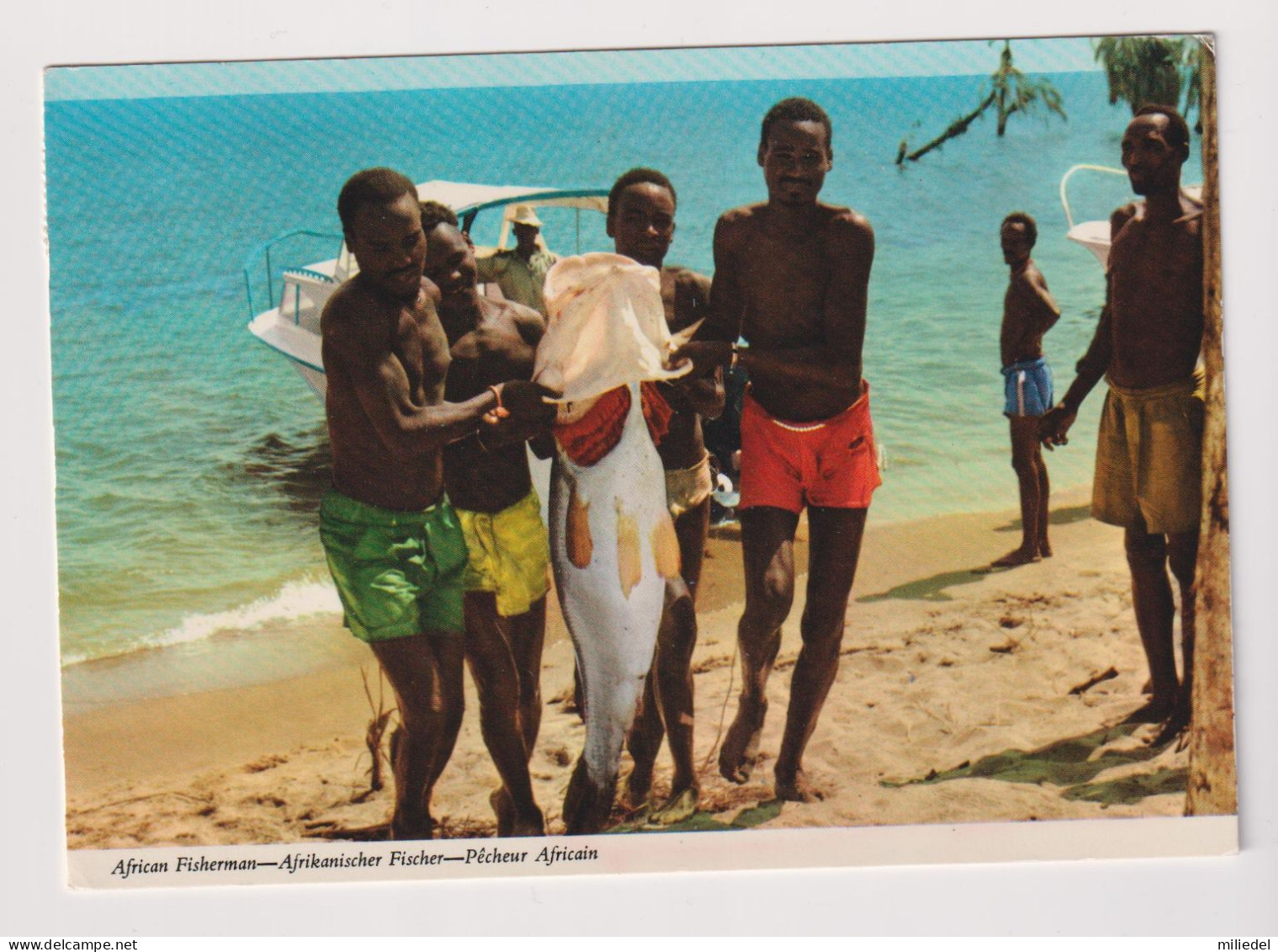 M217 - AFRIQUE - Fisherman - Pêche - Pêcheurs - Timbres Kenya - Non Classés