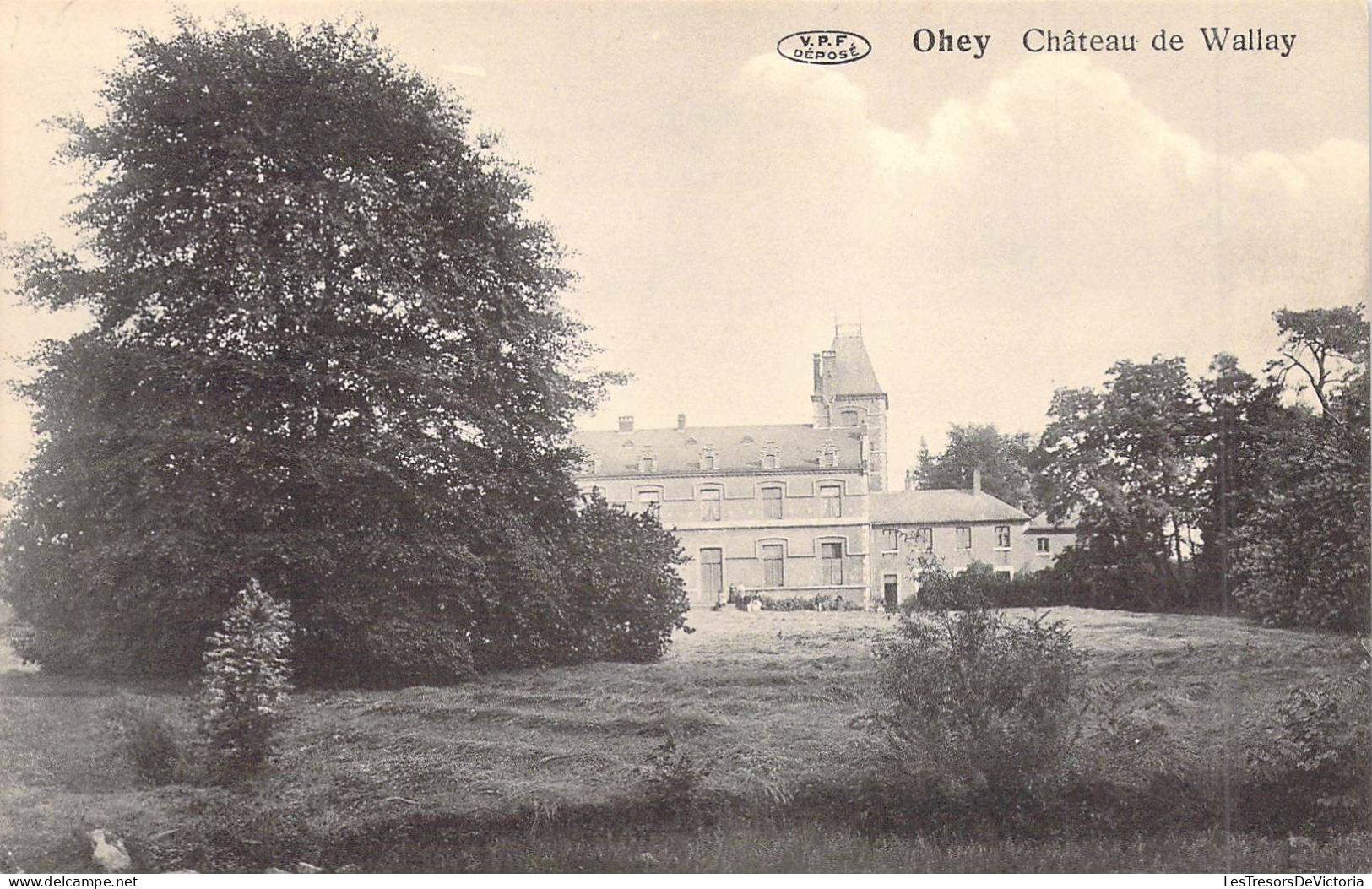 BELGIQUE - OHEY - Château De Wallay - Edit Vve Toussaint - Carte Postale Ancienne - Ohey